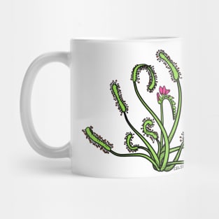 Drosera Capensis with Flower Carnivorous plant Cape Sundew Gift Drawing Mug